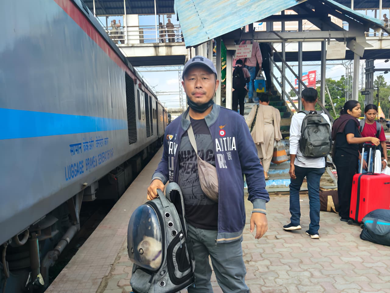 A cat resting comfortably